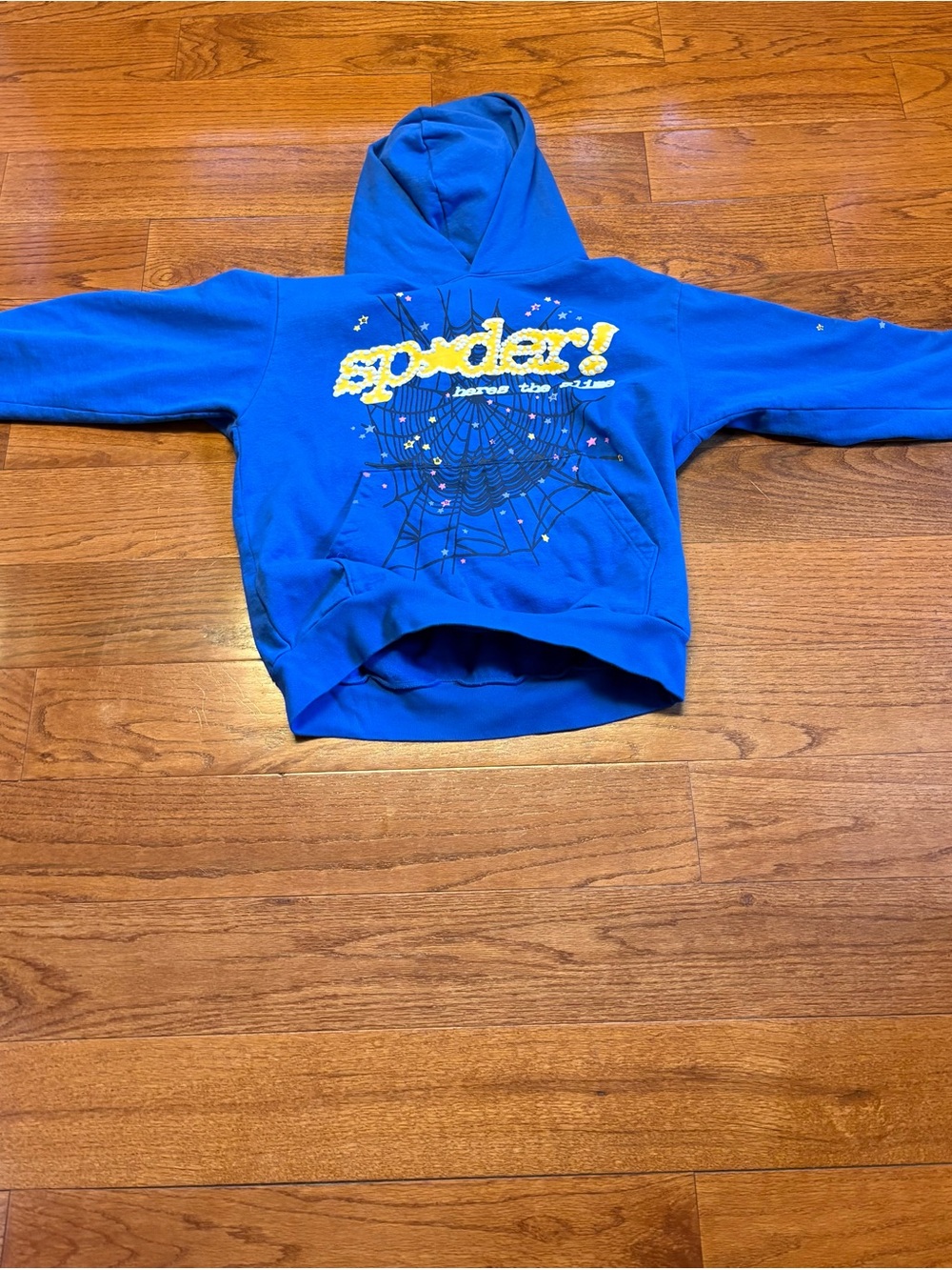 Blue Spyder Worldwide hoodie. Size large in Adult